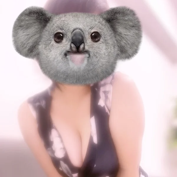 【梅田ルーム】11-21時🐨🌿