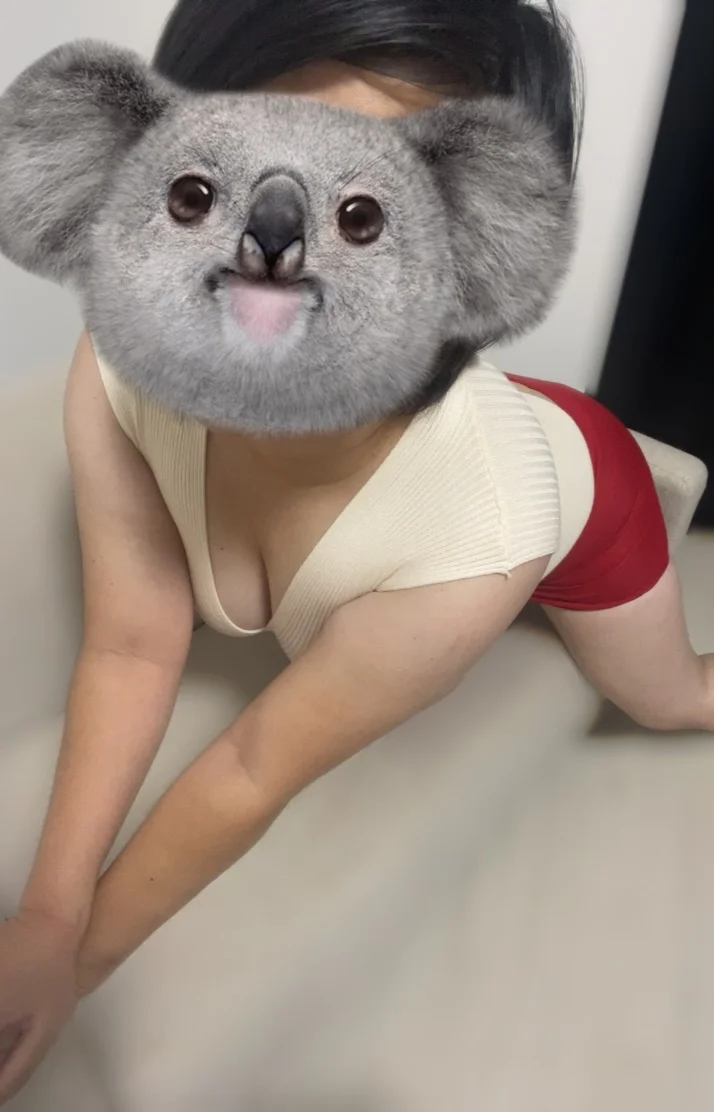 【新大阪】11-20時🐨🌿