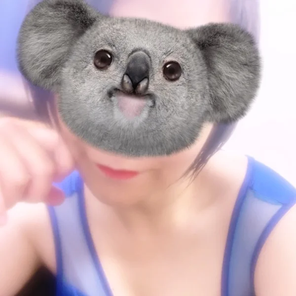 弱点：蒸し暑さ