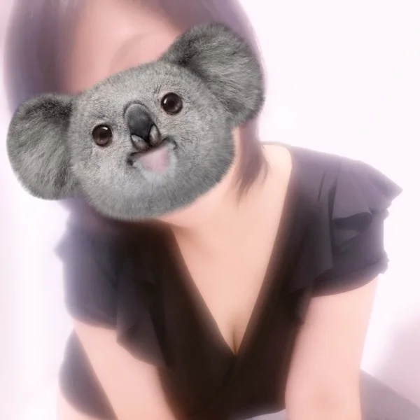 【本日満了】明日のご予約受付中です🐨