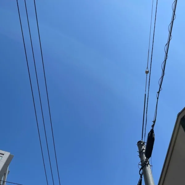 本日❁⃘*.ﾟ