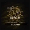 エステM premium【派遣•出張】