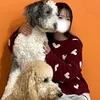 ひなこ