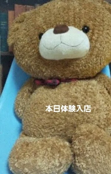 本日体験入店
