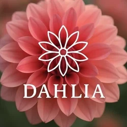 DAHLIA