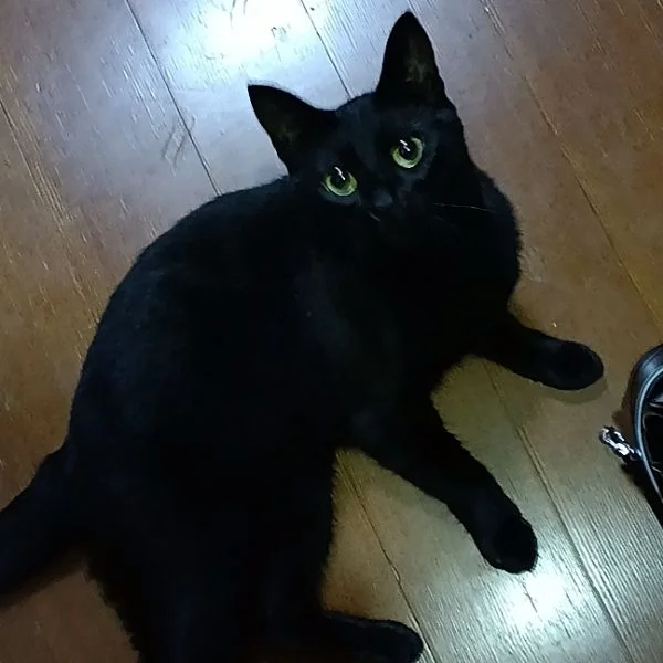 情報だよー😊
