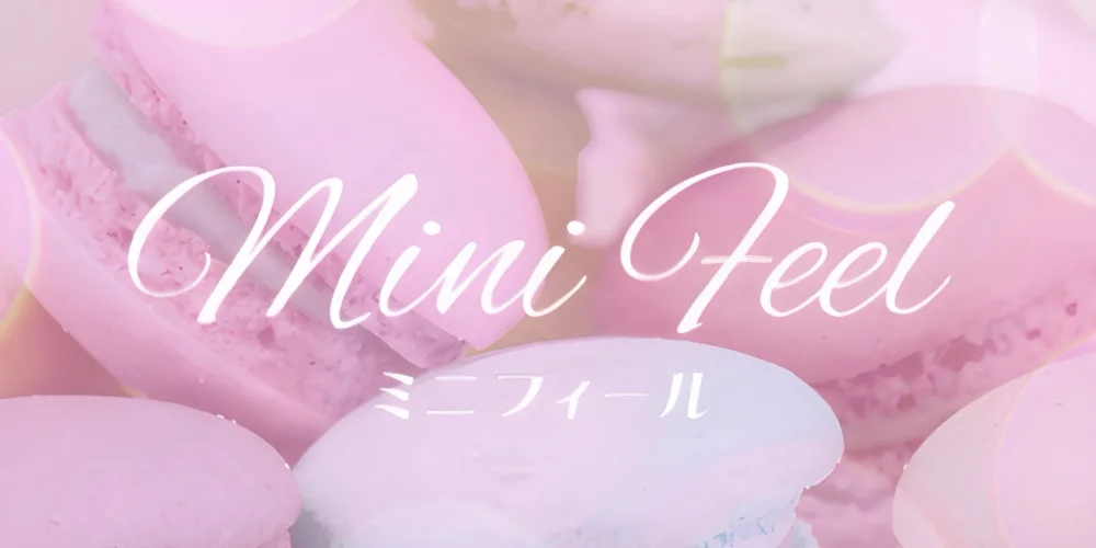 Mini Feel~ミニフィール