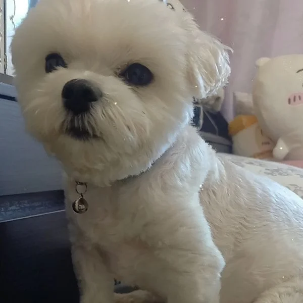 心やすらぐ時間