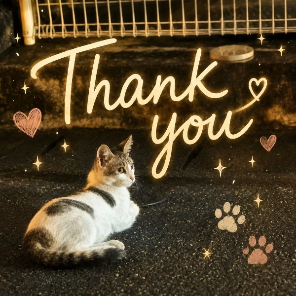 本日もありがとうございました🐱💕
