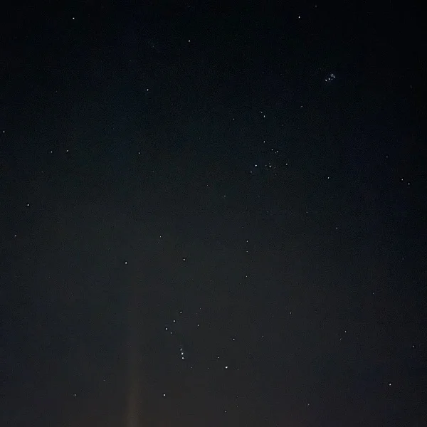 久々の🌟