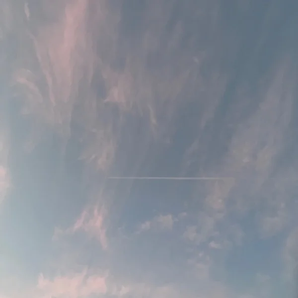 感謝です🙇‍♀️✨