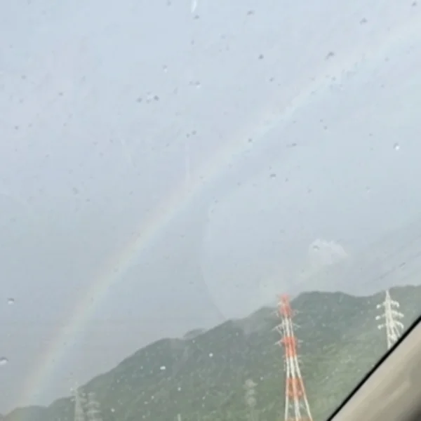 🌈✨
