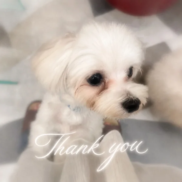 9日10日ありがとうございました✨