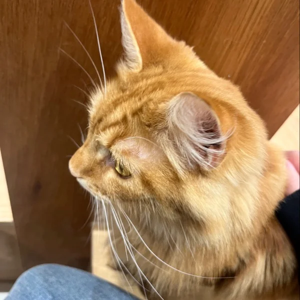 本日もありがとうございました!!