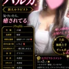 極密❤️‍🔥ハルカ