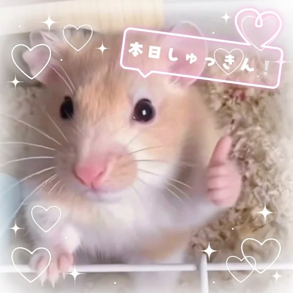 🎀会いに来てちょん🎀