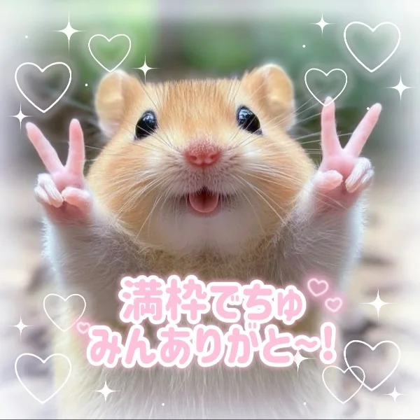 🎀本日満枠🎀