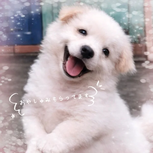 🎀美容day~𖠶ˬ𖠶🎀