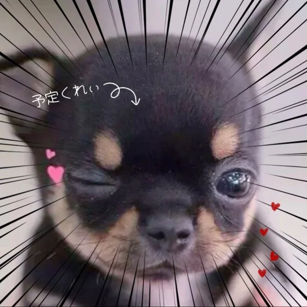 🎀本日出勤~満枠🎀