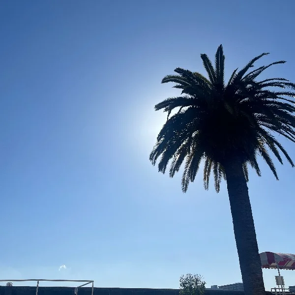 本日12時から出勤します♪