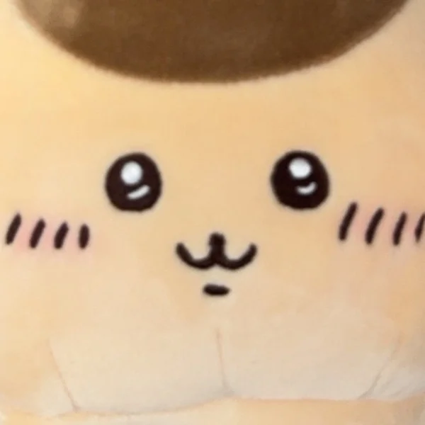 11月6日予約のリピ様へ
