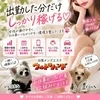 求人を見ている女性様から、よく聞く不安があります。のサムネイル