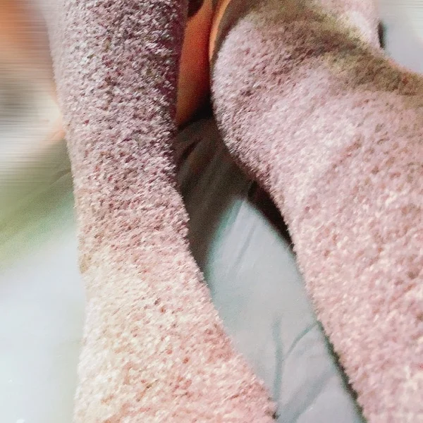 本日も