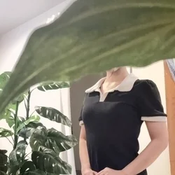 お店のコースその1