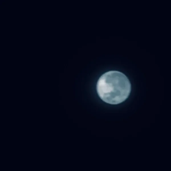 🐰ᩚ🌕⭒ꠂ᩠