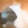 清香（さやか）