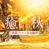 Ｍrs.2nd Love博多〜ミセス・セカンドラブ博多〜