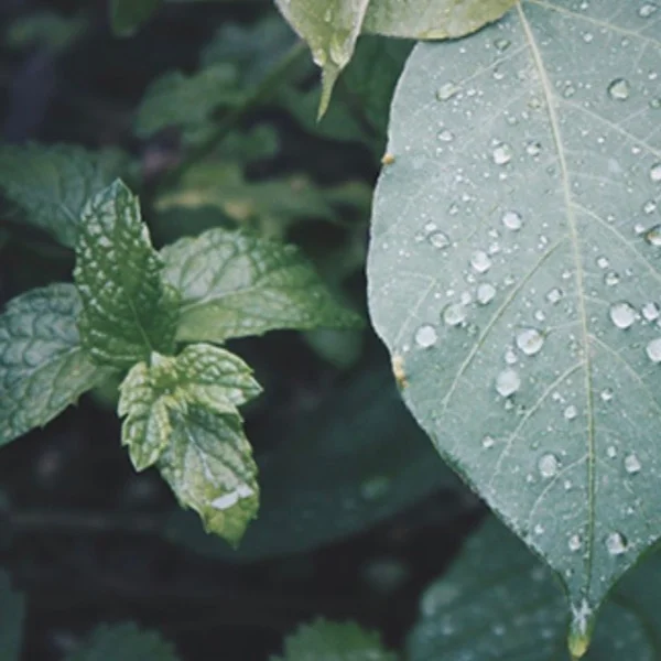 予報が、、、☔