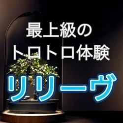 早割2000円OFF🈹