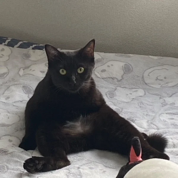 ぽけー😮