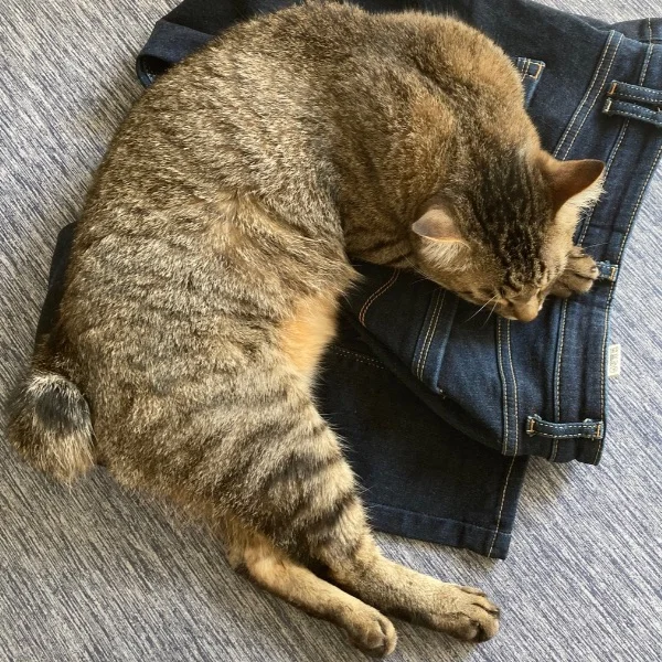 今日も今日とて！