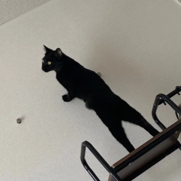日記を書きながら寝落ち