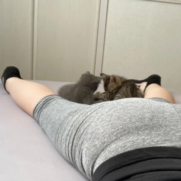 たまにはメンエスらしい話