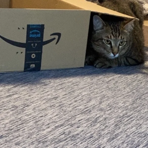 もりたかのなつやすみ
