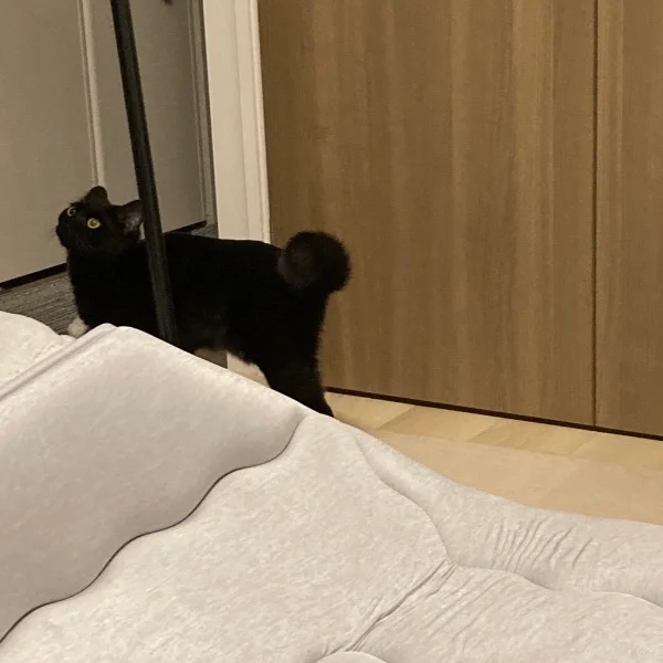 はやおき☀︎