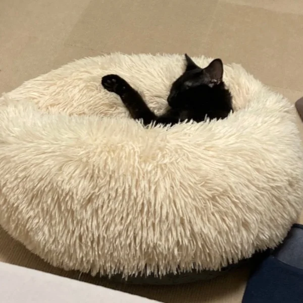 のんびり日曜日☀︎