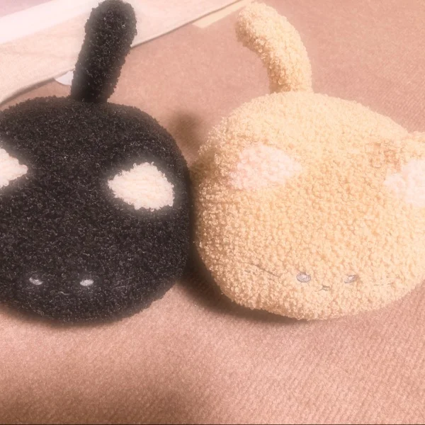 森高のねこ、1さいになる🐱