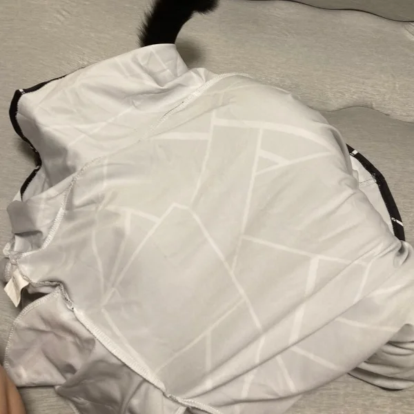 出勤いたしました🫡