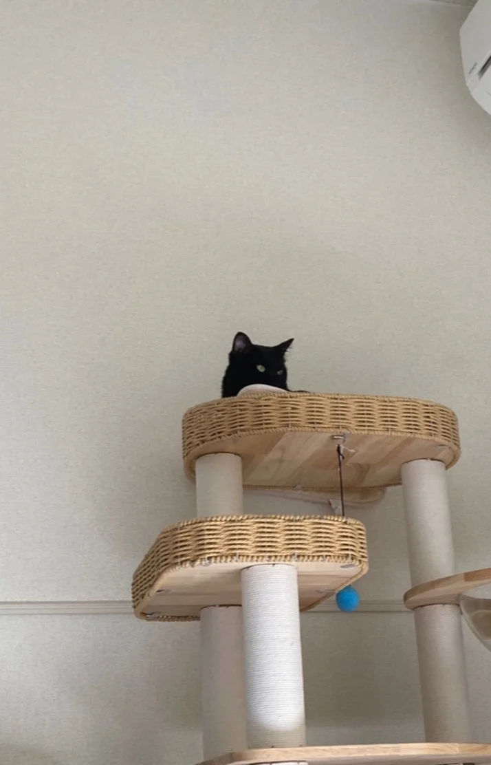 虚空