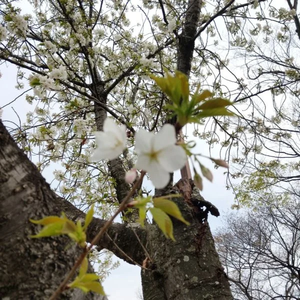 ご縁があります様に♡