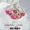 小乃華-このは-