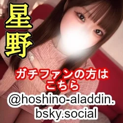 星野さん☆Bluesky★フォローお願...