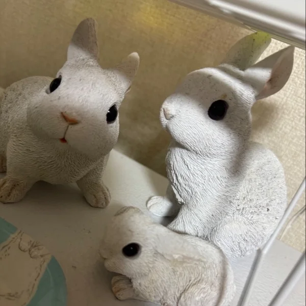 うさちゃんܸᐢ. ̫.ᐢ ܸ