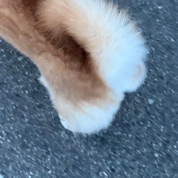 おはよ！