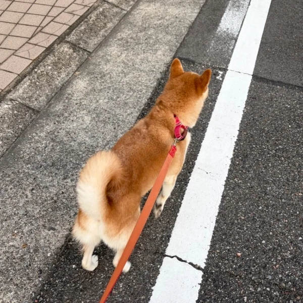 おはよう！