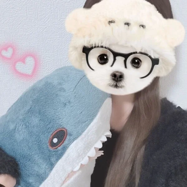 まだご案内できます🥰